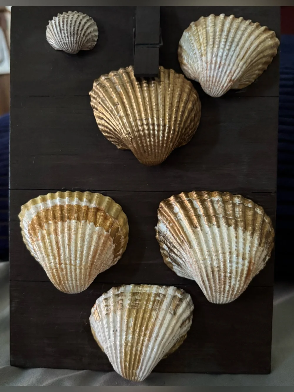 Seashell Wall Accent Panel in Gold and Cream - 8”x5.5”